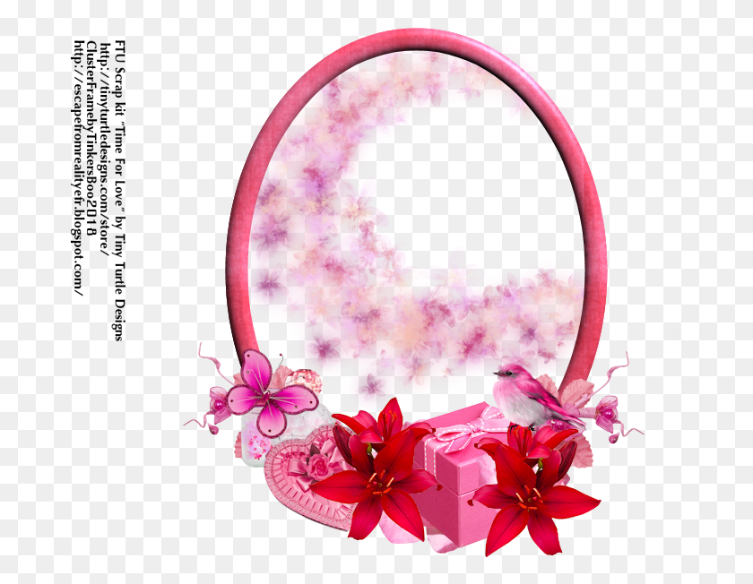 683x592 Pink Frame Cluster Cattleya, Plant, Flower, Blossom HD PNG Download