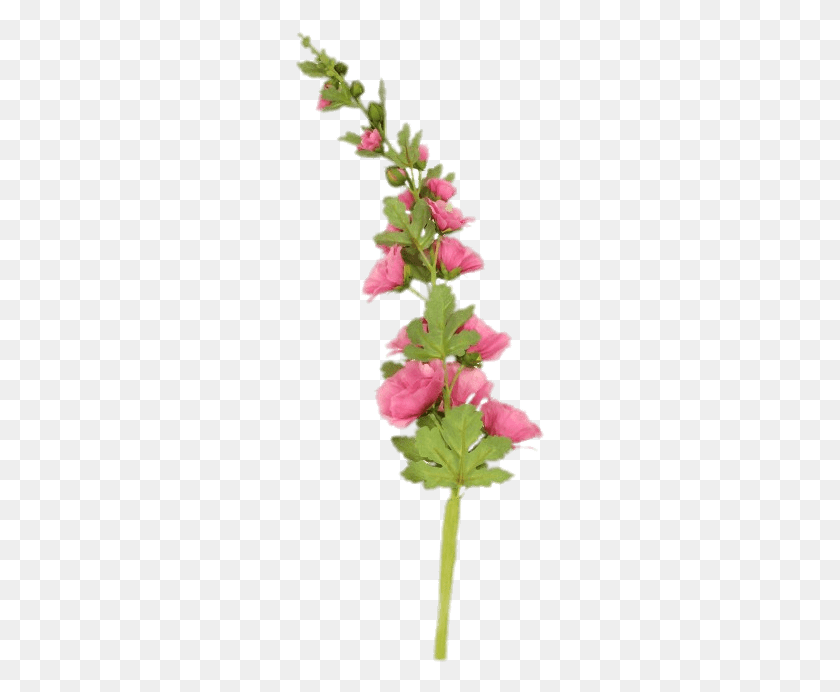 251x632 Pink Hollyhock Stem Transparent Artificial Flower, Plant, Blossom, Petal HD PNG Download