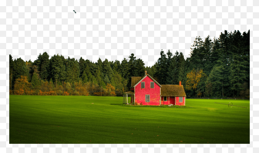 1920x1080 Розовый Дом На Хорошо Ухоженной Лужайке Канада Красный Дом, Трава, Растение, Природа Hd Png Скачать