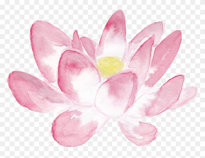 860x663 Pink Lotus In Watercolor Sacred Lotus, Flower, Petal, Plant, Rose Transparent PNG