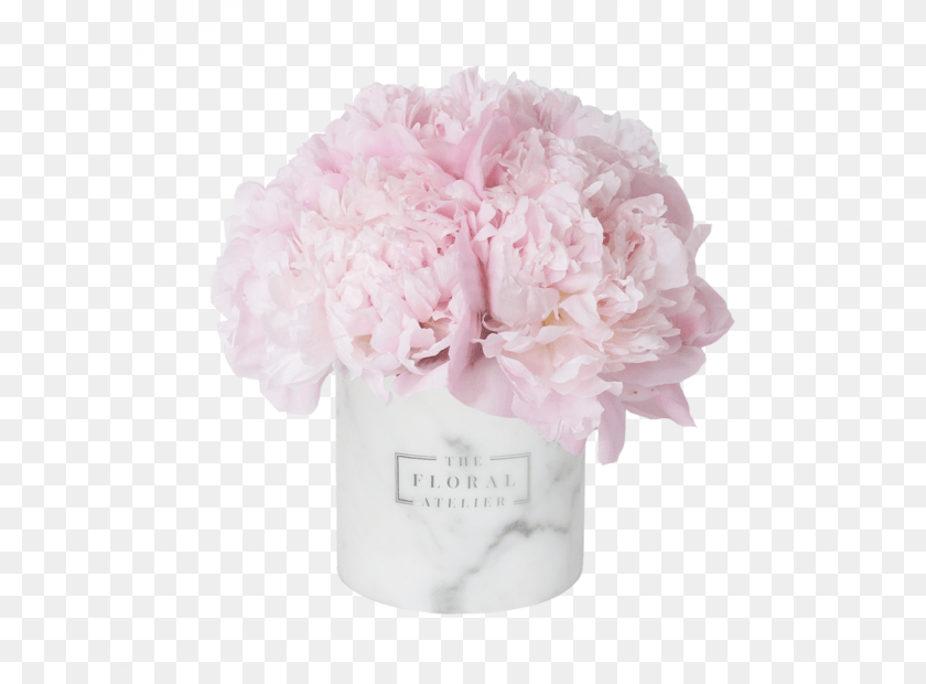 620x620 Pink Peony Luxe Marble Vase Vase Flower Pink, Plant, Carnation, Flower Arrangement, Flower Bouquet Transparent PNG