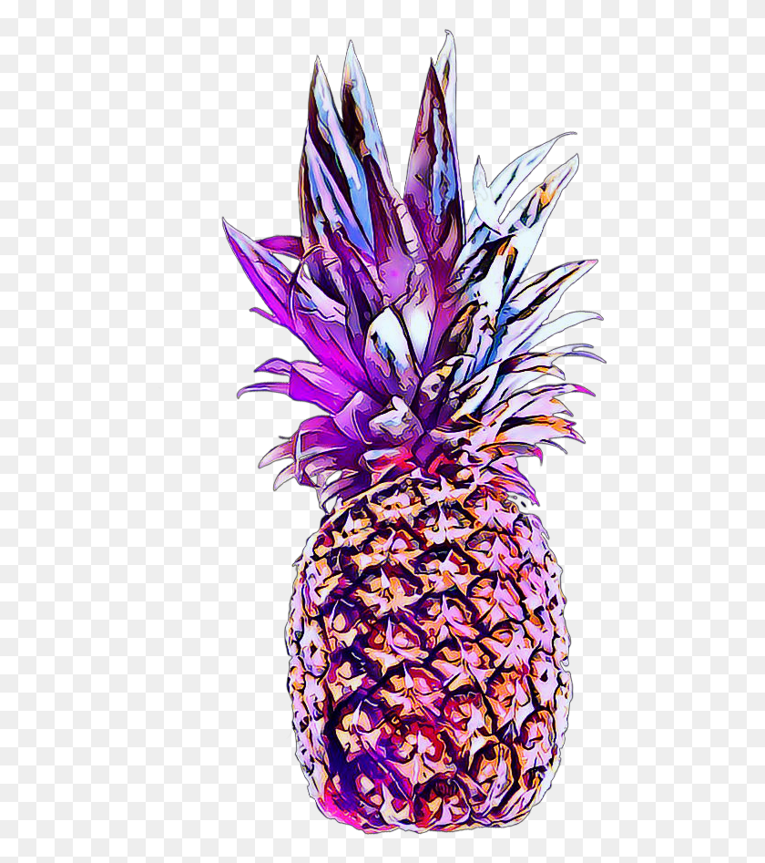 495x887 Pink Pineapple Pineapple Fruit Fruity Colorful Pineapple, Plant, Food HD PNG Download