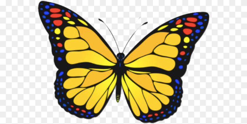 Pink Redbubble Stickers, Animal, Butterfly, Insect, Invertebrate PNG