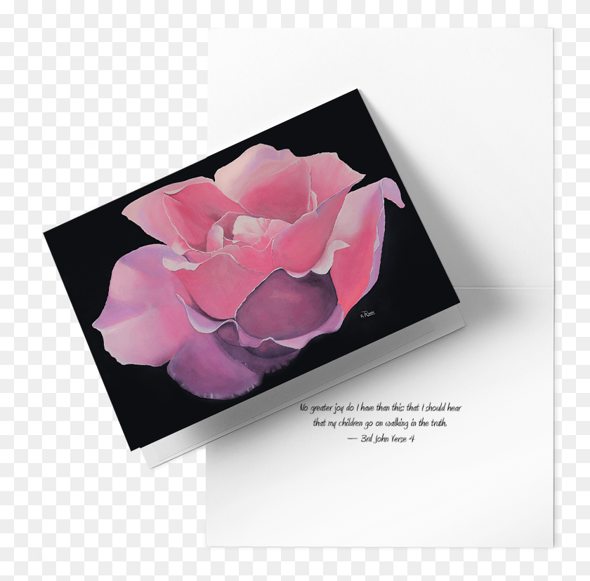 765x768 Pink Rhapsody The Artist Hybrid Tea Rose, Petal, Flower, Plant HD PNG Download