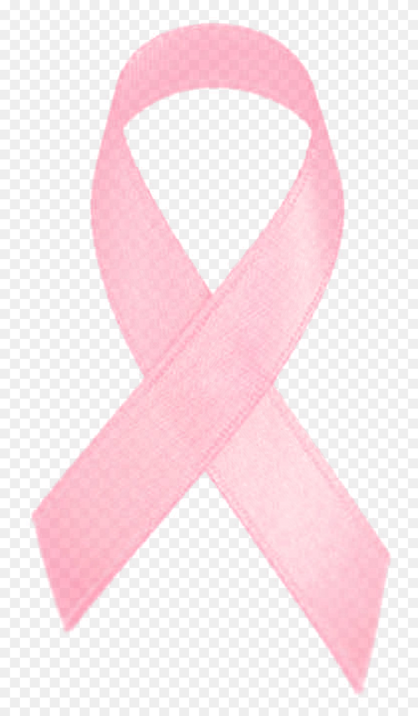 737x1377 Pink Ribbon Cancer Logo Images27 Breast Cancer, Sash, Scarf, Clothing HD PNG Download