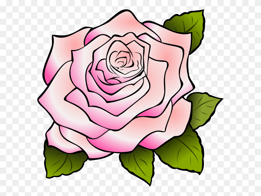 600x572 Розовая Роза, Роза, Цветок, Растение Hd Png Скачать