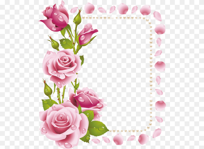 Pink Rose, Plant, Mail, Greeting Card, Envelope Clipart PNG