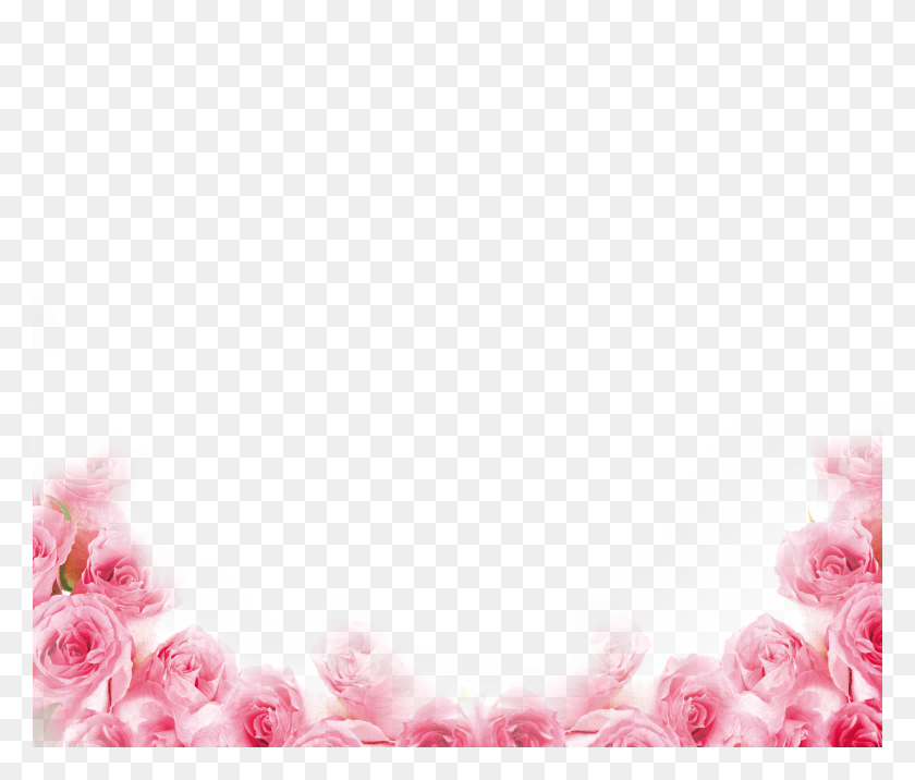 3547x2986 Pink Rose Border, Plant, Flower, Blossom Descargar Hd Png