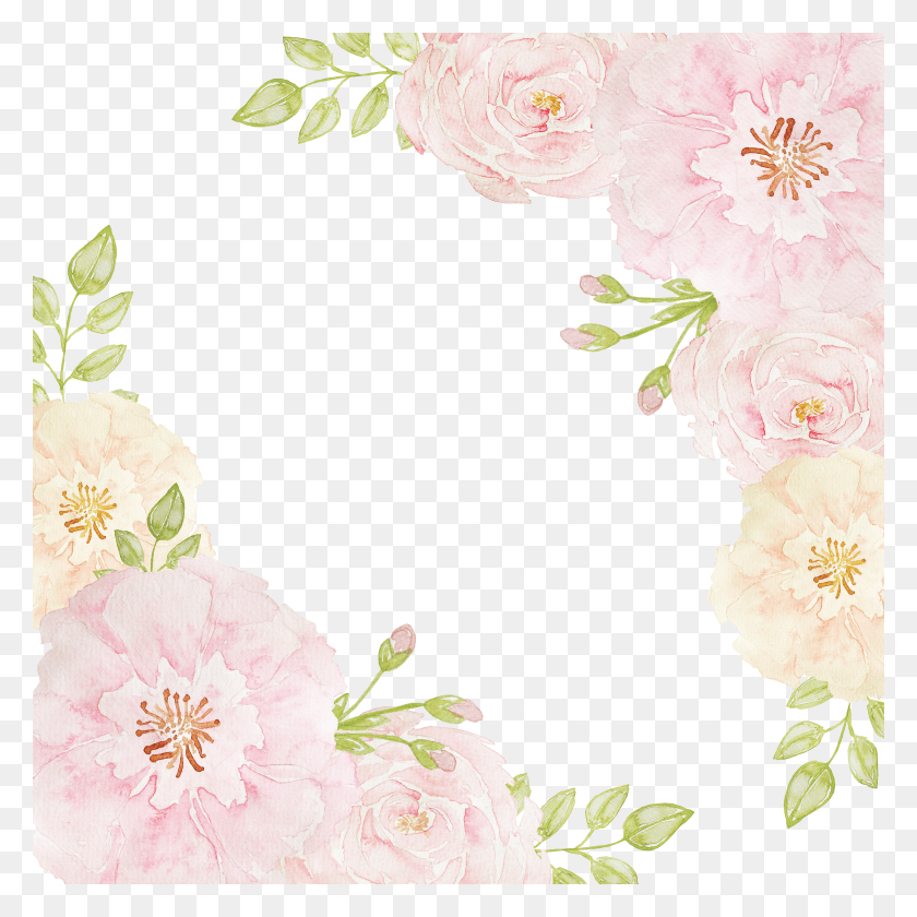3600x3600 Pink Rose Borders Flowers Beach Free Clipart Pink Flowers Border HD PNG Download