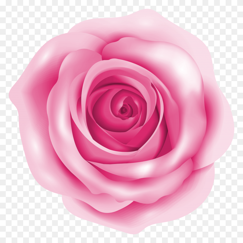 4953x4951 Pink Rose Clip Art Image Clip Art Descargar Hd Png