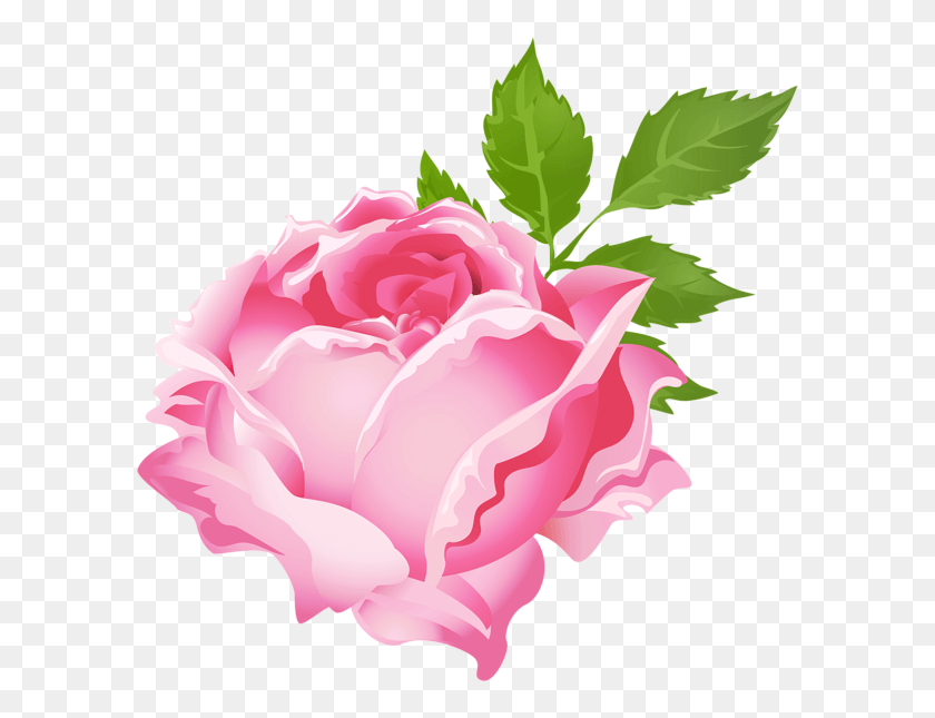 600x585 Pink Rose Clip Art Image Clip Art Purple Flowers, Rose, Flower, Plant HD PNG Download
