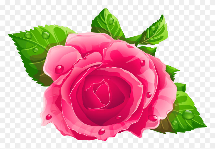 3288x2202 Розовая Роза Клипарт, Роза, Цветок, Растение Hd Png Скачать