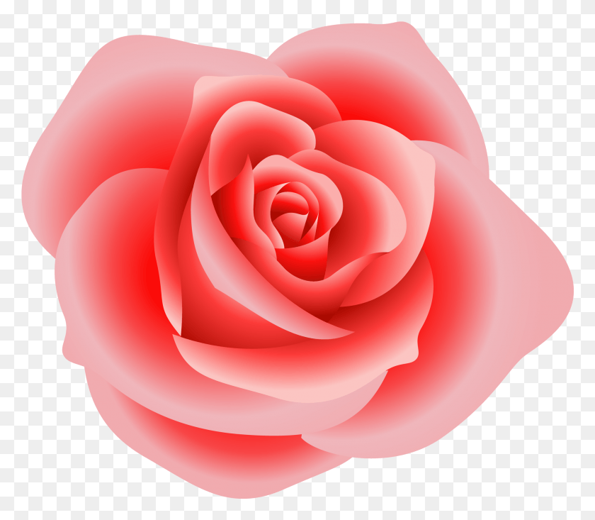 2001x1727 Rosa, Rosa, Flor, Planta Hd Png