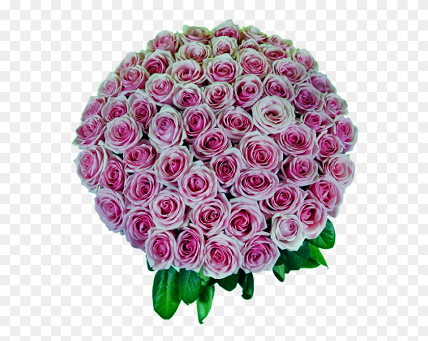 568x609 Букет Розовых Роз, Цветочный Дизайн, Узор, Графика Hd Png Скачать
