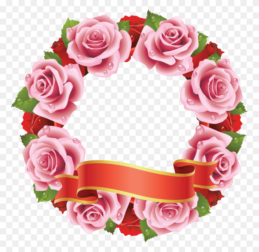 768x757 Pink Roses Frames Rose Vector, Plant, Flower, Blossom HD PNG Download