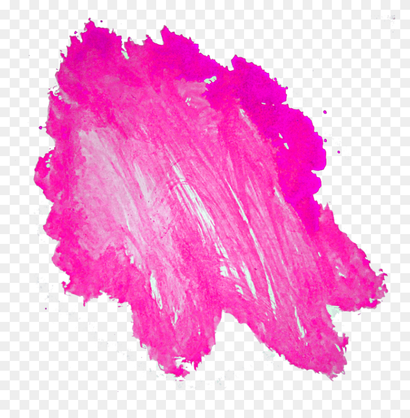 819x837 Pink Stain Free Stain, Petal, Flower, Plant HD PNG Download