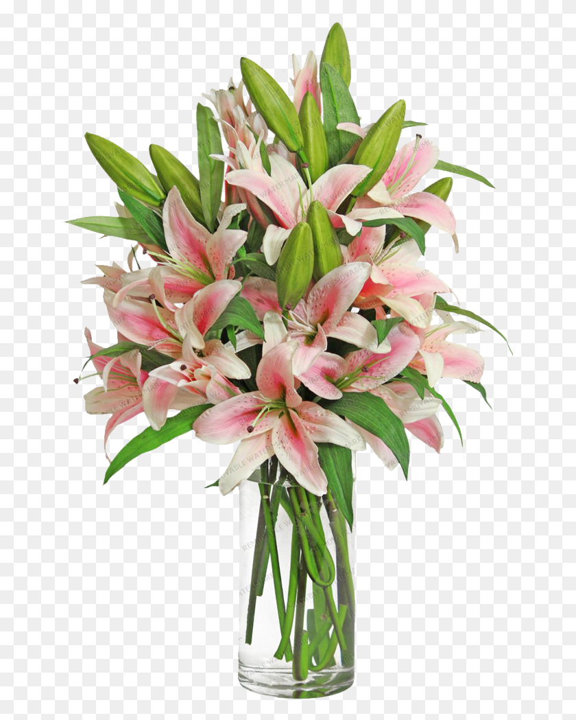 659x989 Descargar Png Pink Stargazer Lily Bouquet Doterra Hacks, Planta, Flor, Flor Hd Png