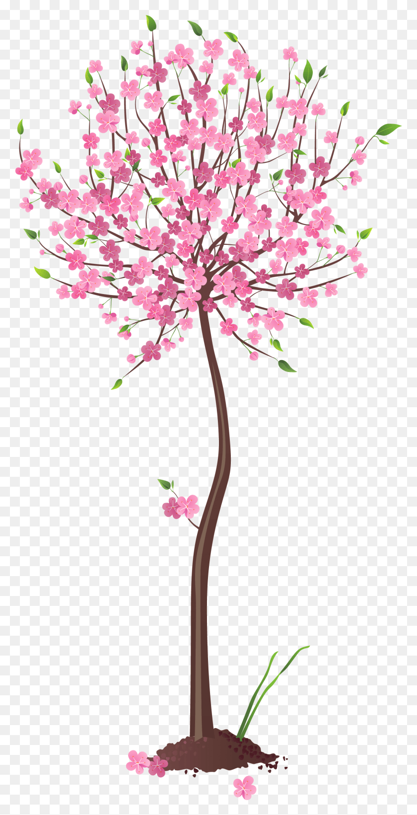 Дерево весной на прозрачном фоне