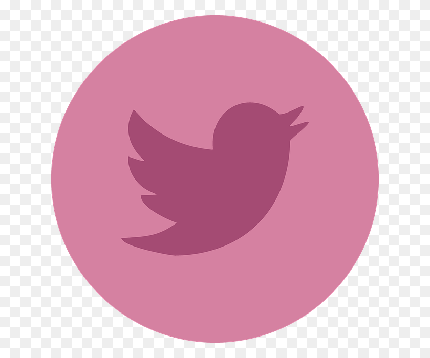 640x640 Pink Twitter Twitter Logo Transparent Pink, Face, Text, Heart HD PNG Download