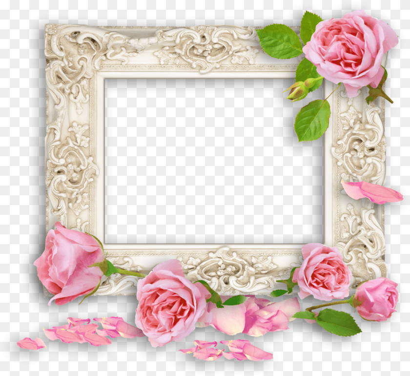 Pink Vintage Frames Ornate Cream Bevelled Mirror, Flower, Plant, Rose, Petal Clipart PNG