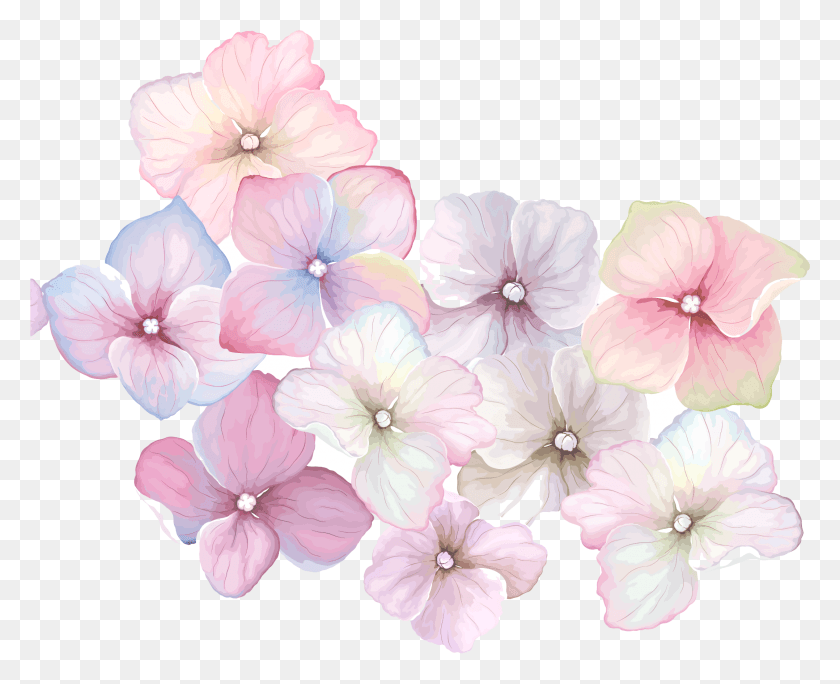 2156x1727 Розовые Акварельные Цветы Fondos De Flores Y Mariposas, Герань, Цветок, Растение Hd Png Скачать