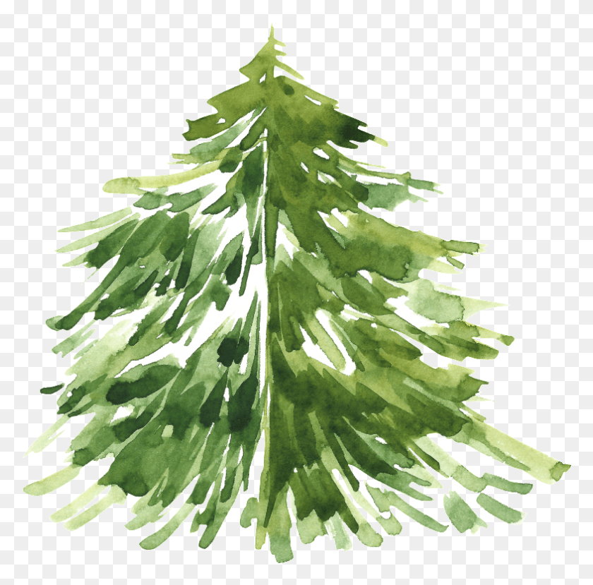 785x774 Pintado Cartoon Christmas Tree Transparente, Дерево, Растение, Орнамент Hd Png Скачать