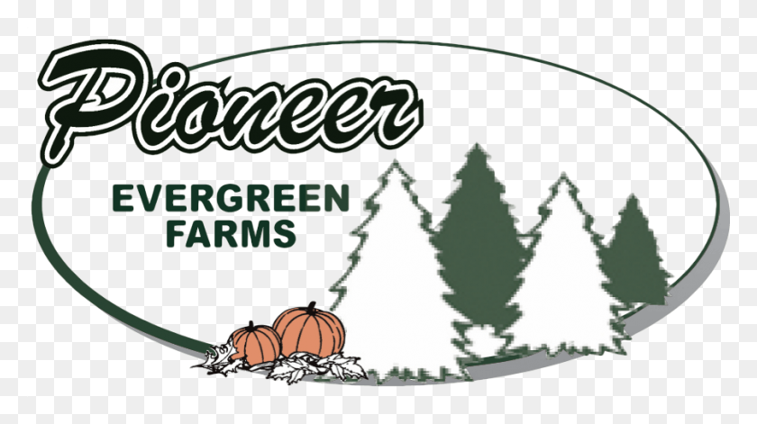 899x474 Pioneer Evergreen Farms Pioneer Evergreen Farms Logo, Plant, Label, Text HD PNG Download