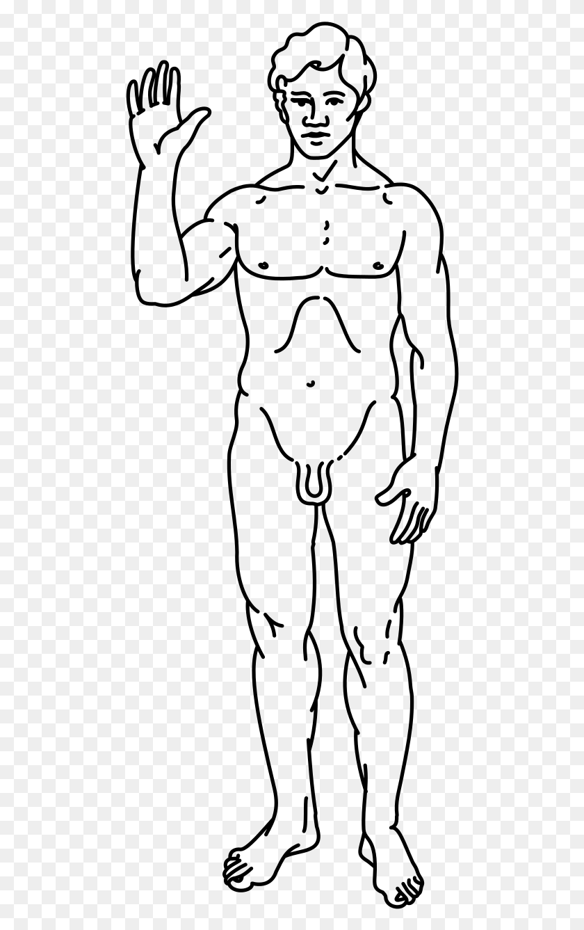 480x1277 Pioneer Plaque Line Drawing Of A Human Male Drawing For Neuro Exam, Gray, World Of Warcraft HD PNG Download
