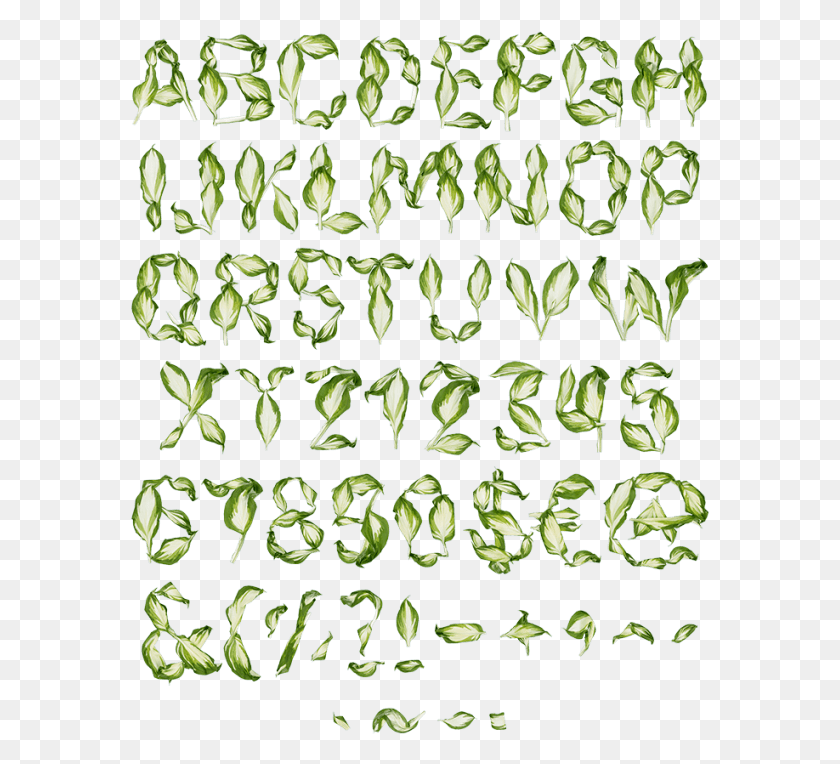 579x704 Pipal Leaves Font Leaves Typeface, Растение, Текст, Семена Hd Png Скачать