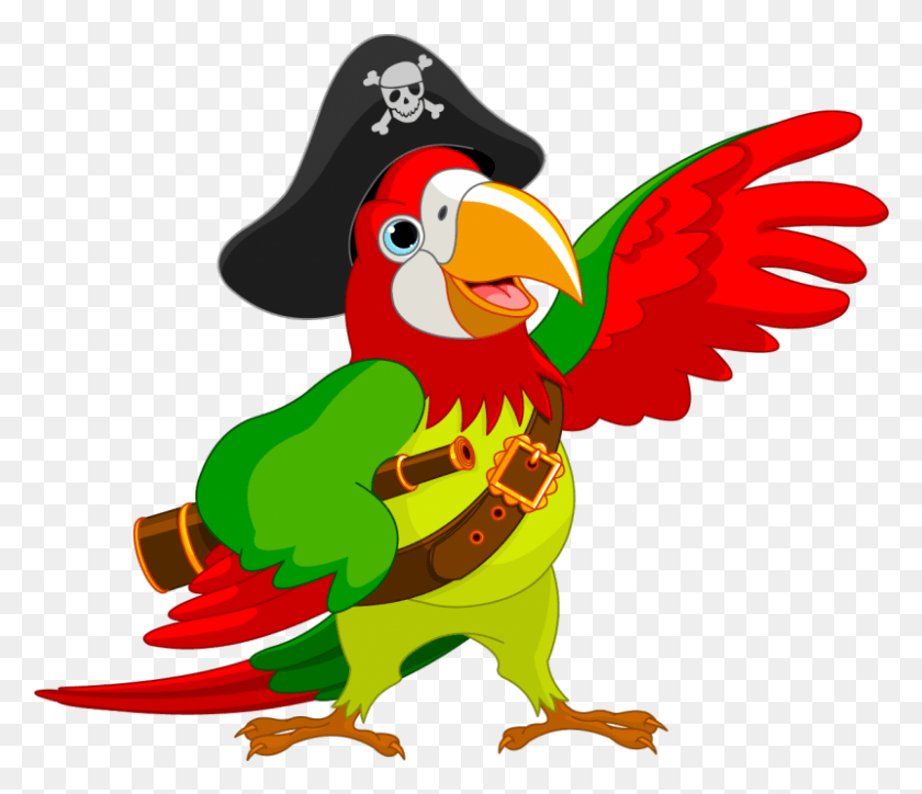 801x682 Pirate Clipart Parot Cartoon Pirate Parrot, Bird, Animal, Cardinal Hd Png