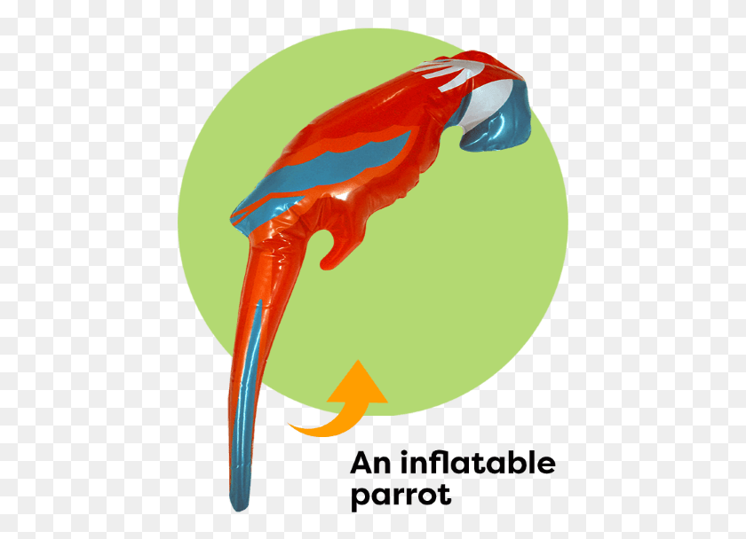 441x548 Pirate Parrot Piciformes, Animal, Pico, Pájaro Hd Png