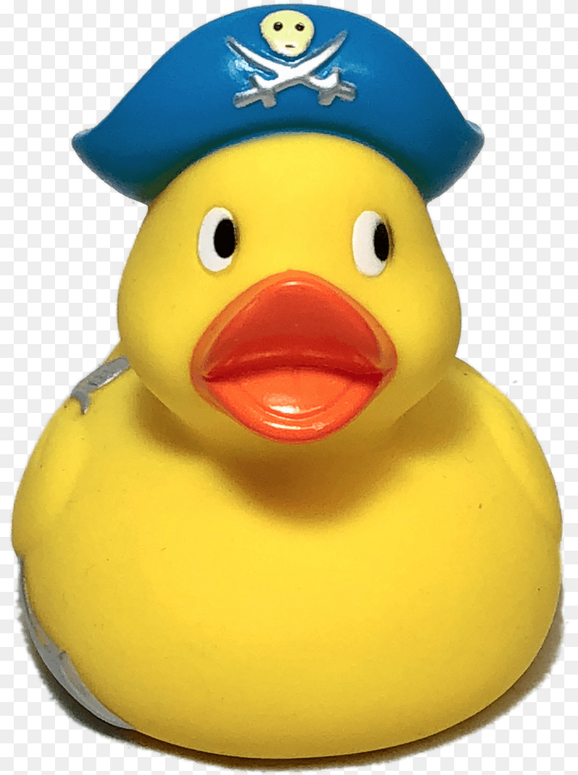 818x1126 Pirate Rubber Duck Duck, Toy, Animal, Beak, Bird Clipart PNG