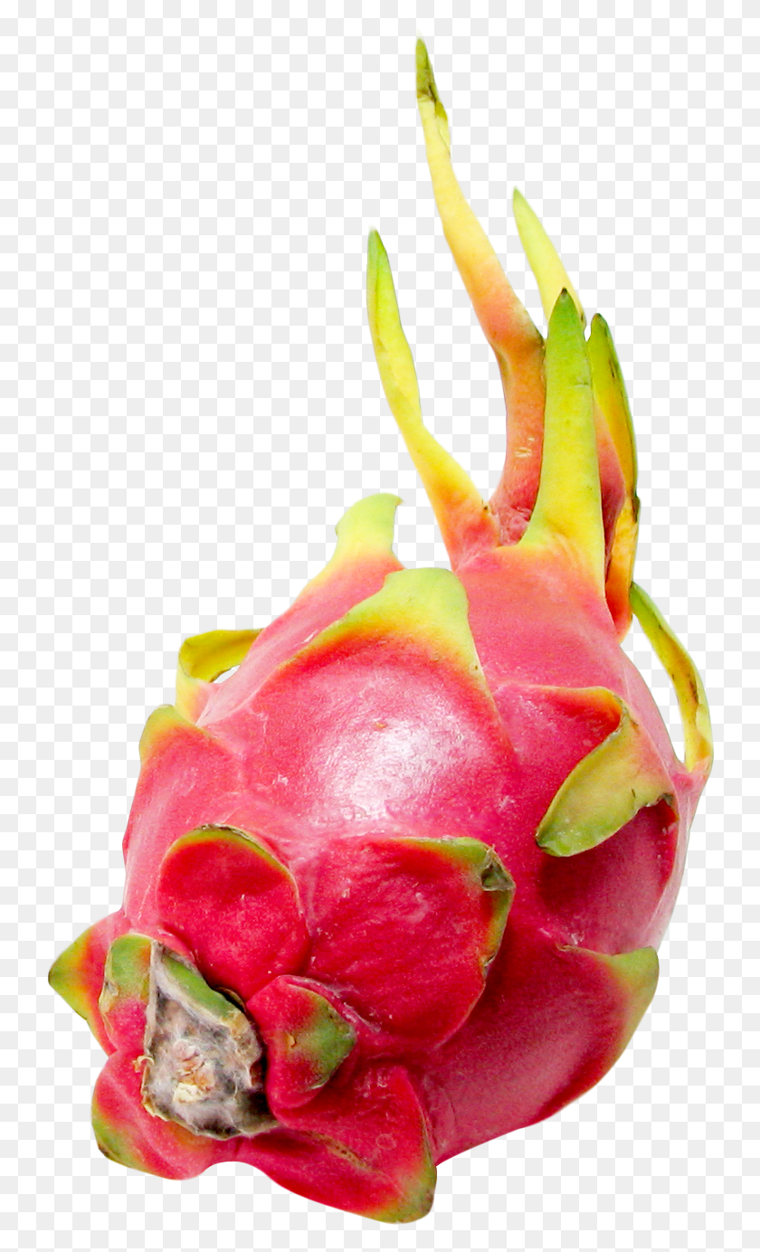 740x1324 Pitaya Or Dragon Fruit Image, Plant, Strawberry, Food HD PNG Download