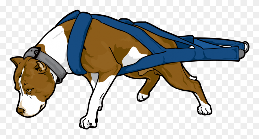 1008x509 Pitbull Clipart Pitbull Weight Pulling Vector, Mammal, Animal, Cow HD PNG Download