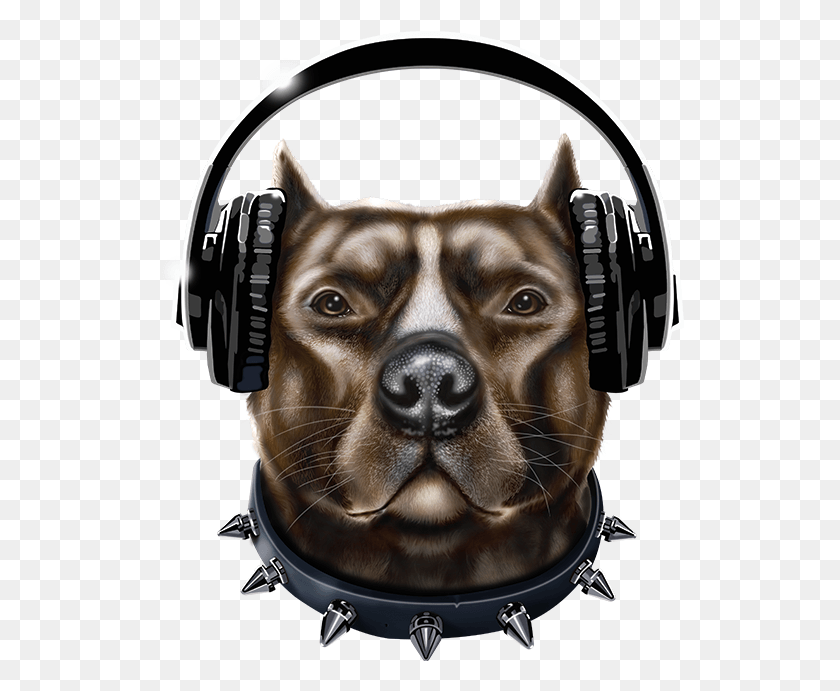 529x631 Pitbull Dog Wearing Headphones, Pet, Canine, Animal HD PNG Download