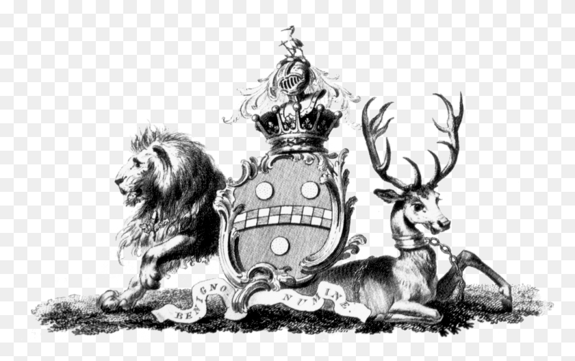 1787x1072 Pitt Family Coat Of Arms Pitt Coat Of Arms, Lion, Wildlife, Mammal HD PNG Download