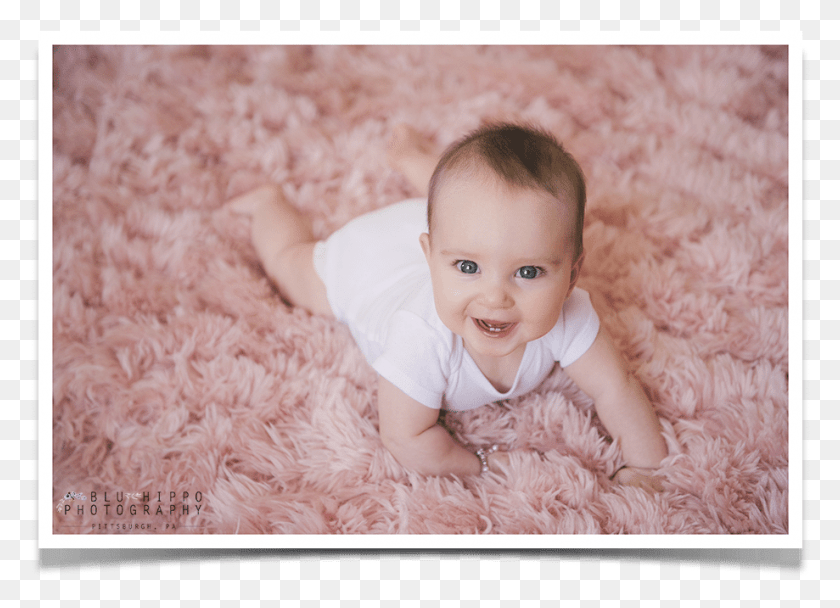 919x646 Pittsburgh 6 Month Old Baby Pictures Sesión De Fotos De Bebé De 6 Meses, Persona, Humano, Recién Nacido Hd Png