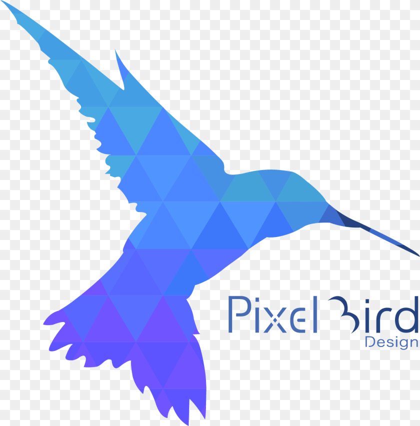 1462x1483 Pixelbirddesign Bird Design, Animal, Flying, Booby, Person Transparent PNG
