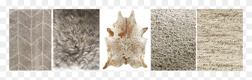 1291x346 Placing A Rug On The Floor Is Only One Textural Option, Invertebrate, Animal, Sea Life HD PNG Download