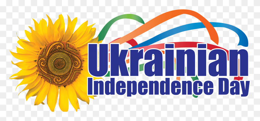 2461x1053 Descargar Png / Día De La Independencia De Ucrania 2018, Planta, Girasol, Flor Hd Png