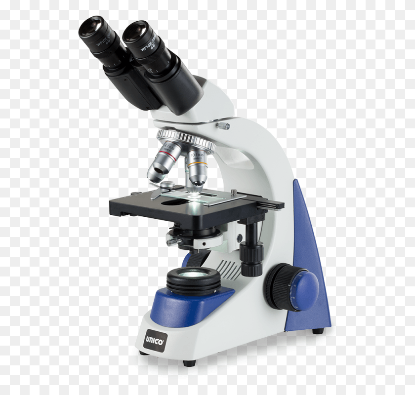 528x740 Cepillo Png / Microscopio Hd Png