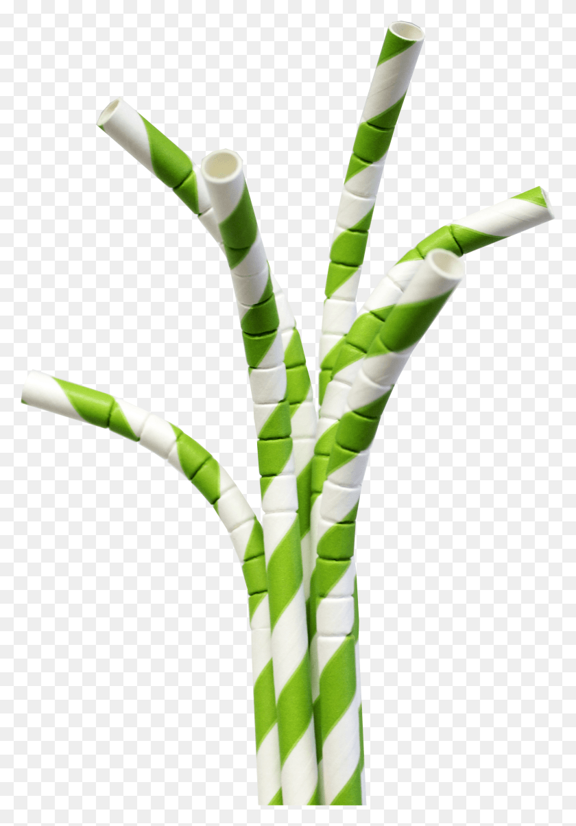 2001x2937 Planet Editor Eco Friendly Straws Transparent HD PNG Download