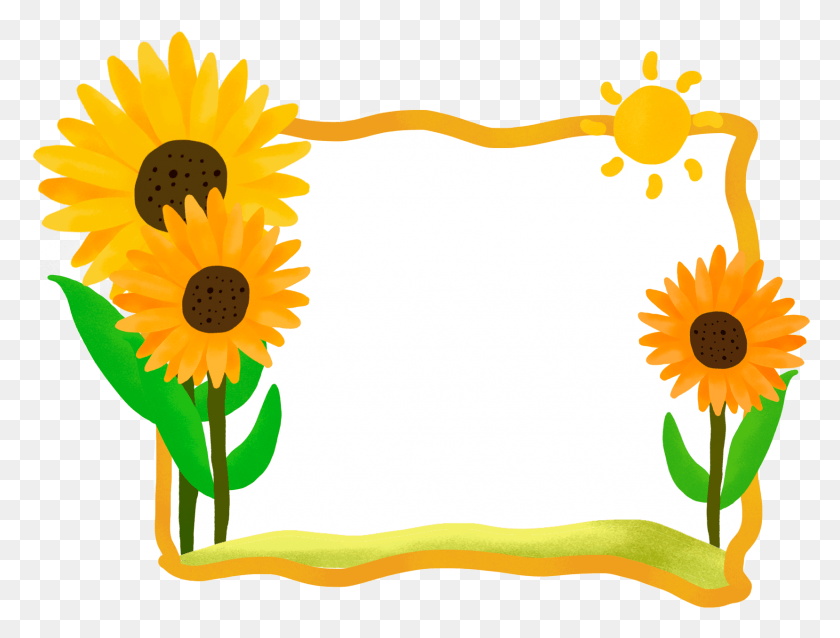 1657x1229 Plant Border Hand Drawn Sunflower And Psd Girassol, Flower, Blossom, Daisy HD PNG Download