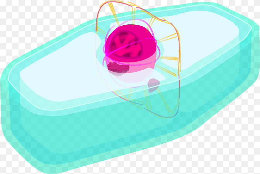 Plant Cell Prophase, Hot Tub, Tub Clipart PNG