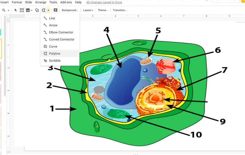 Plant Cell Unlabeled, Diagram Transparent PNG