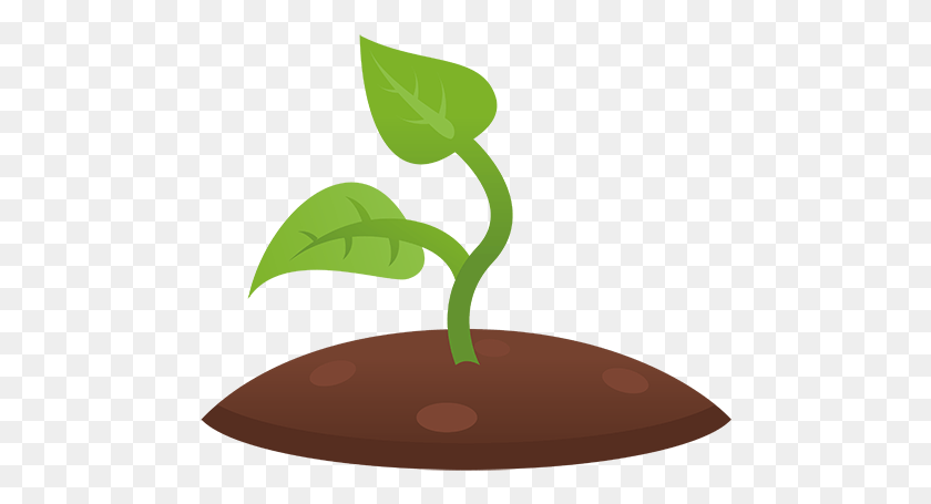 480x395 Plant Clipart Plant Shoot Plant Shoot Clipart, Leaf, Sprout, Tree HD PNG Download