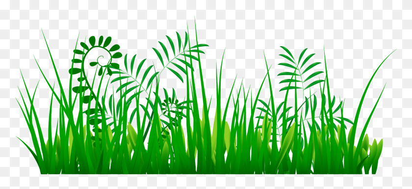 1664x695 Растительный Клипарт Инструмент Переносимая Сетевая Графика, Зеленый, Трава, Лужайка Hd Png Скачать