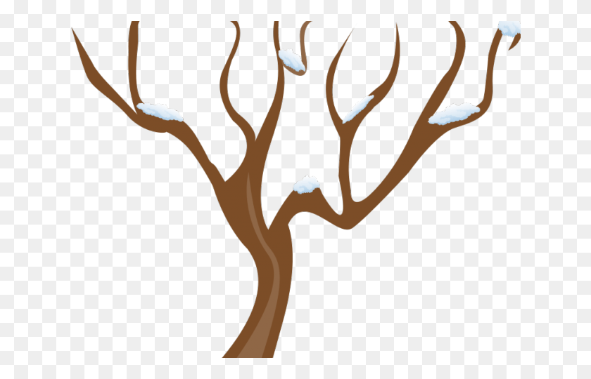 640x480 Plant Clipart Tree May Clipart, Antler, Wood, Slingshot HD PNG Download