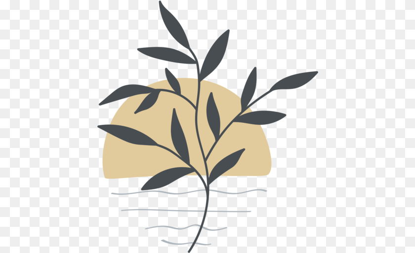 Plant Flower Nature Abstract Illustration, Herbal, Herbs, Leaf, Art Clipart PNG
