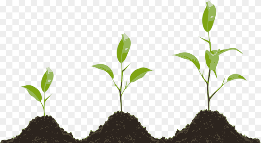 942x515 Plant Growth Growing Plant, Leaf, Soil, Sprout Sticker PNG